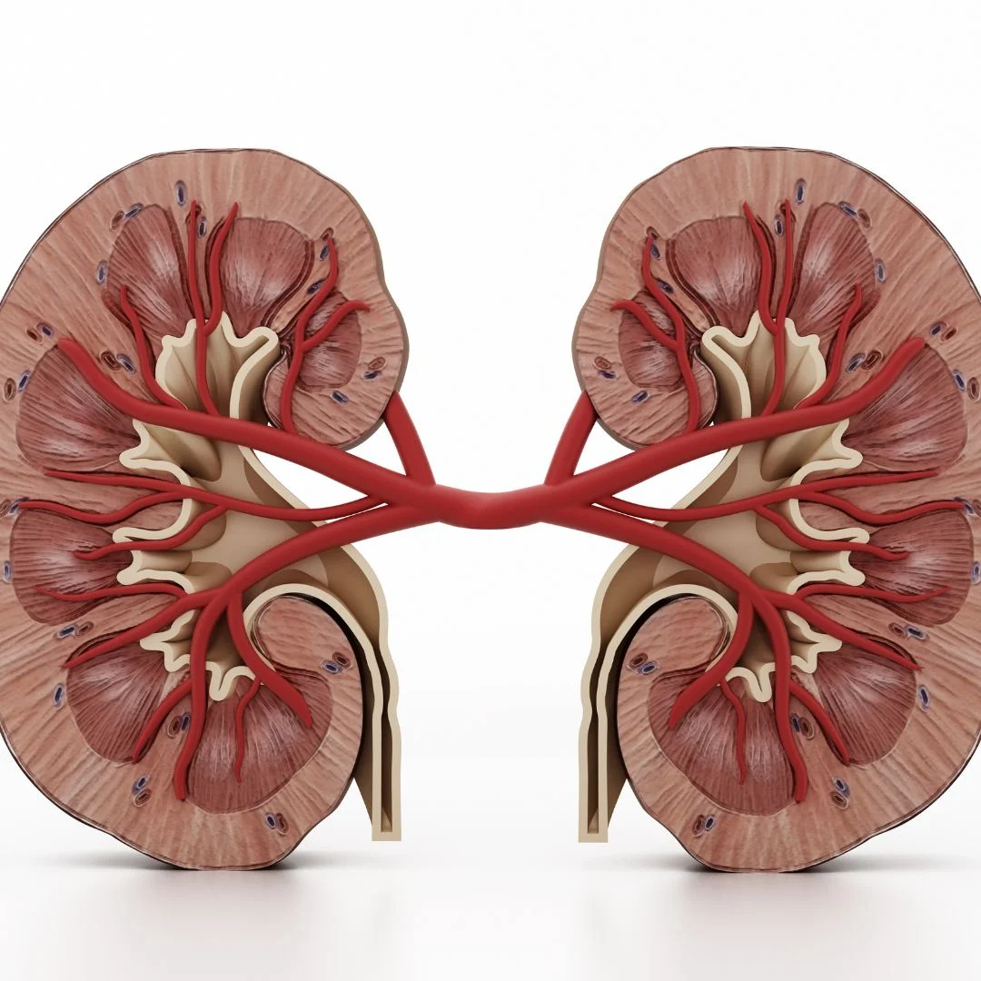 Kidney Disorder Plan